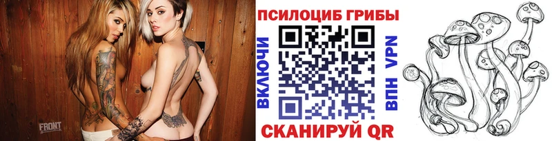 наркошоп  Болохово  это телеграм  Галлюциногенные грибы MAGIC MUSHROOMS 